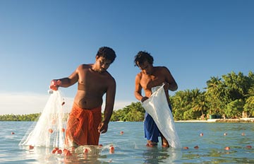 Gillnet fishing in Kiribati (Image: Quentin Hanich) 