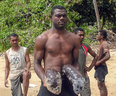 Fijian fisherman proudly displaying his white teatfish sea cucumber catch.