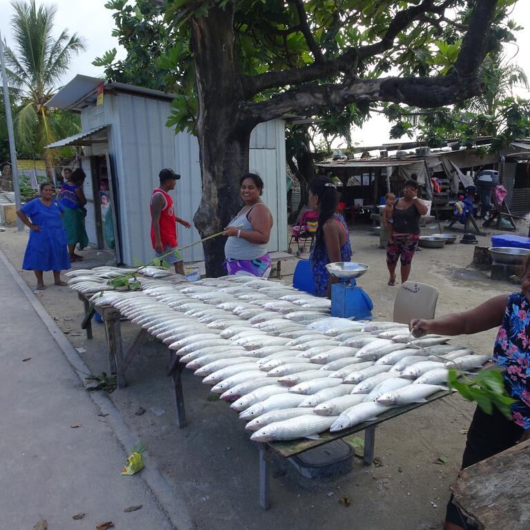Women with fish on a table at a market in Kiribati