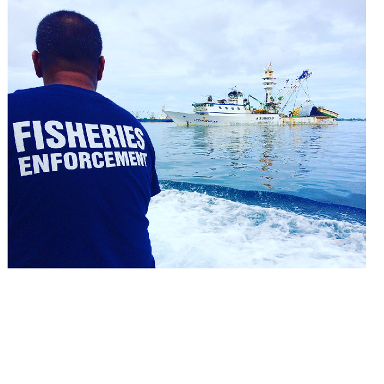 Back view of a fisheries enforcement officer at sea