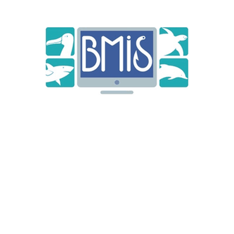 BMIS logo