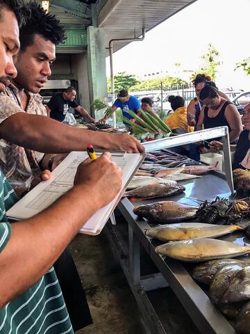 People recording data on clipboard at a fish market