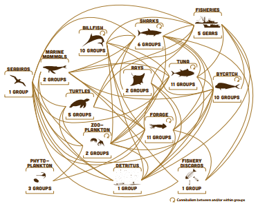 Diagram of a food web